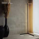 Lampa stojąca LED | Minimalistyczny design czarny