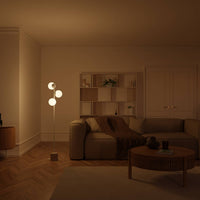 Lampa Stojąca LED z Kulistymi Kloszami do Salonu | Nowoczesna Lampa Podłogowa